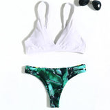 2020 Multi Color Push Up