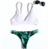 2020 Multi Color Push Up