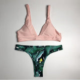 2020 Multi Color Push Up